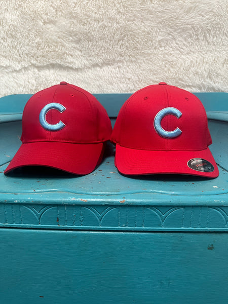 Cubbies 3D Puff Hat