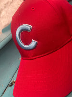 Cubbies 3D Puff Hat